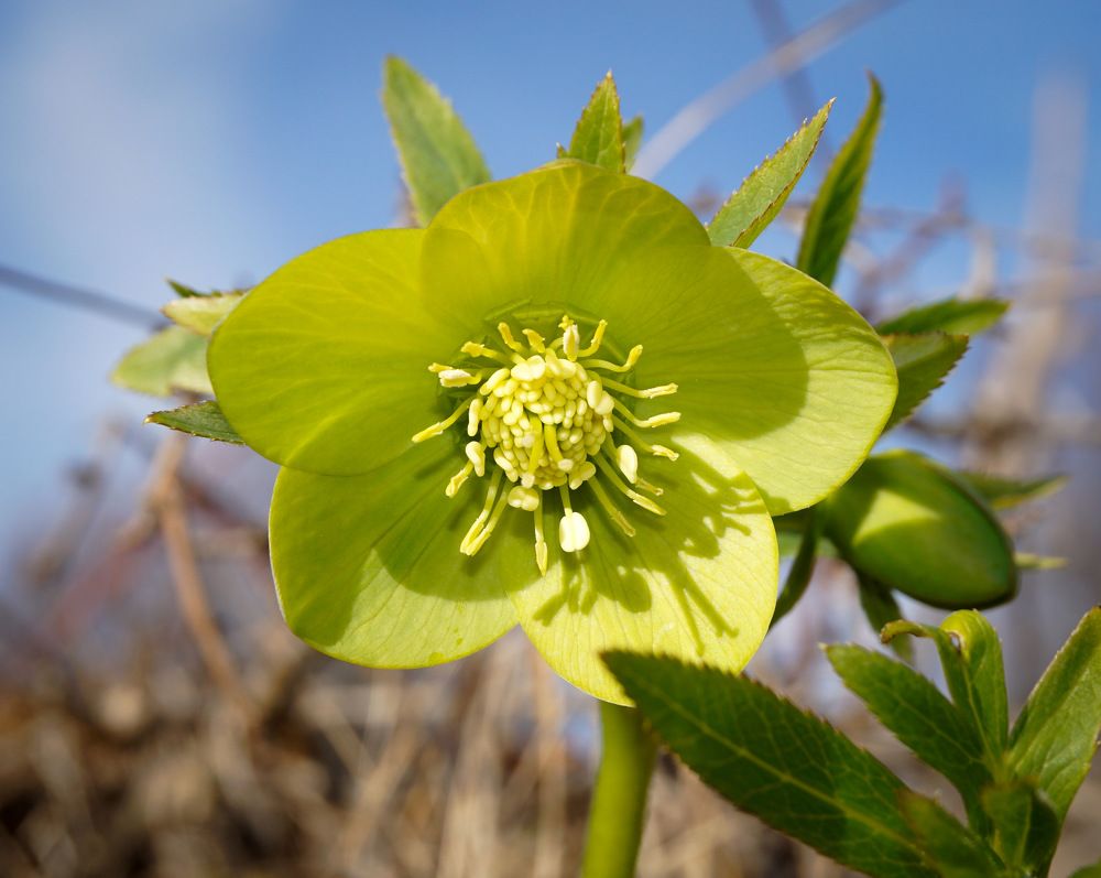 Photograph by Ави Христова