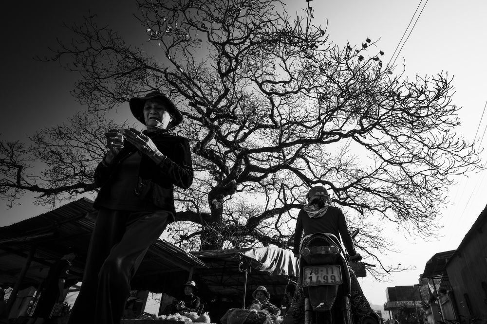 Photograph by Cao Ky Nhan