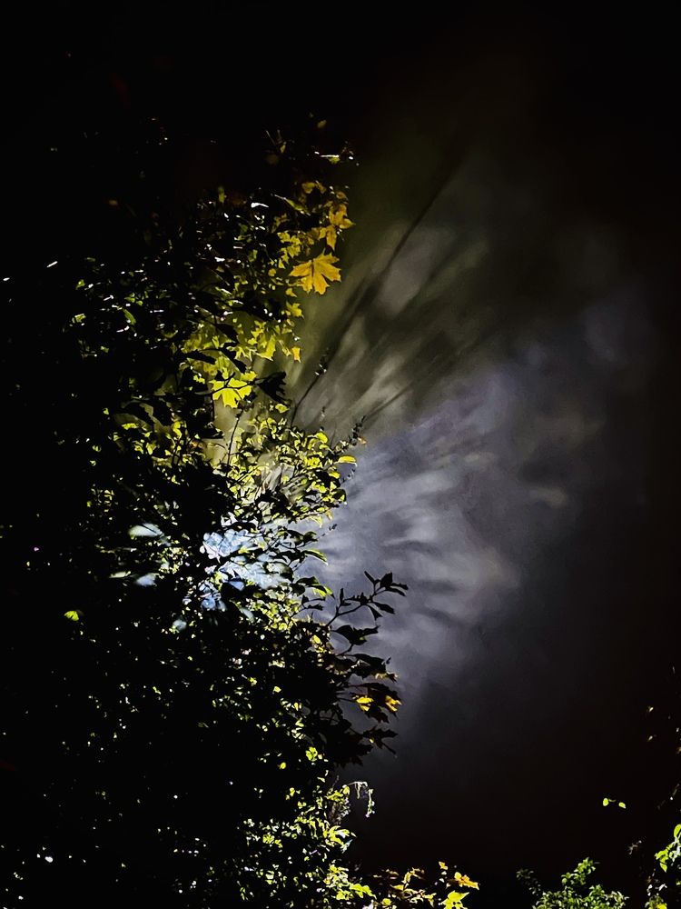 Фотография автора Елизавета