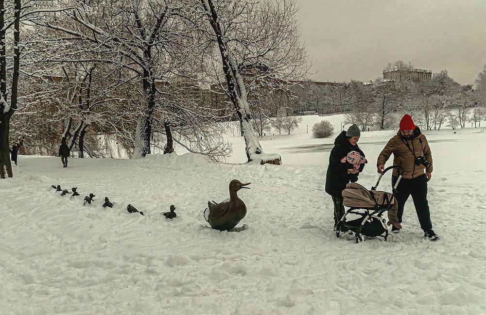 Photograph by Vladimir  Komarov