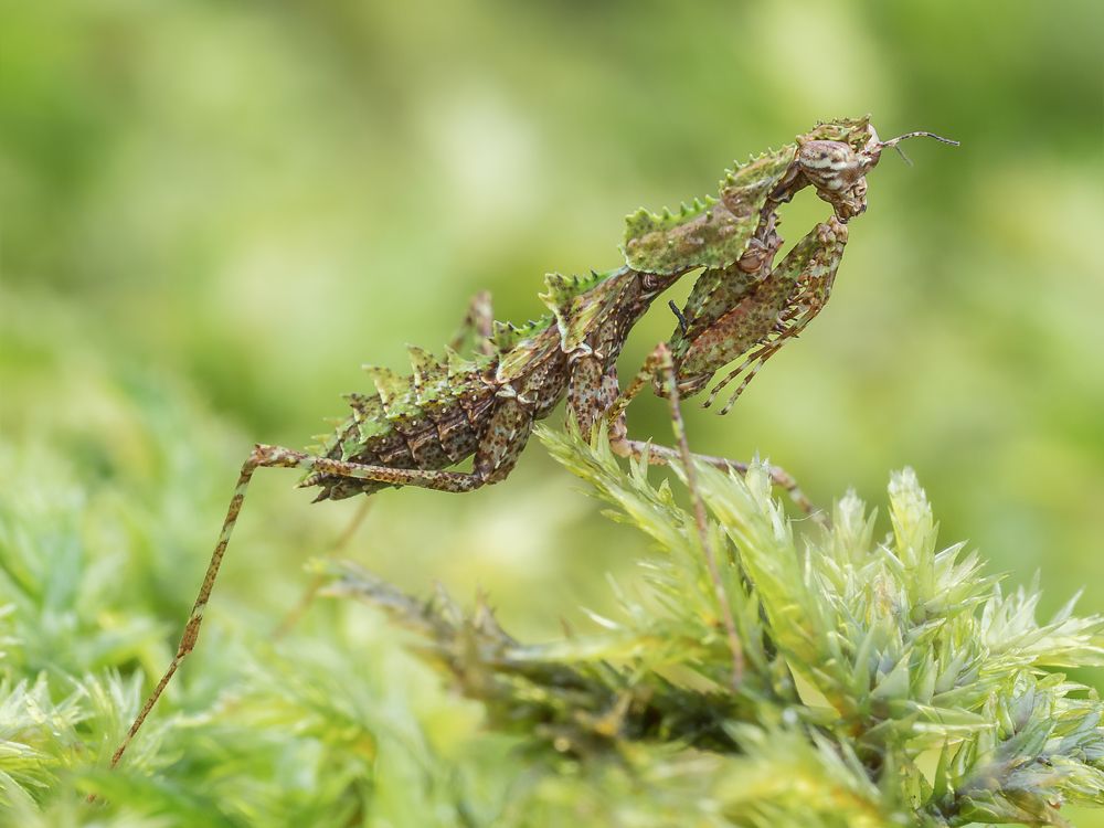 Photograph by Alstein Lai