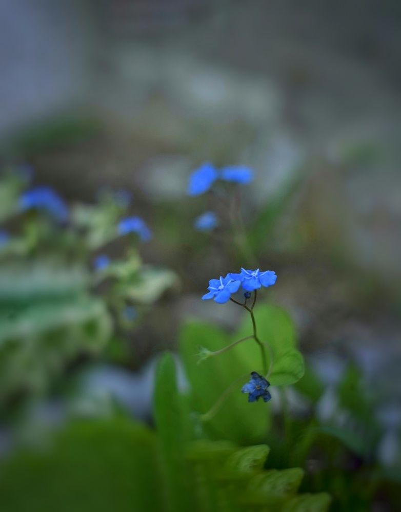 Photograph by Наталья Ткаченко