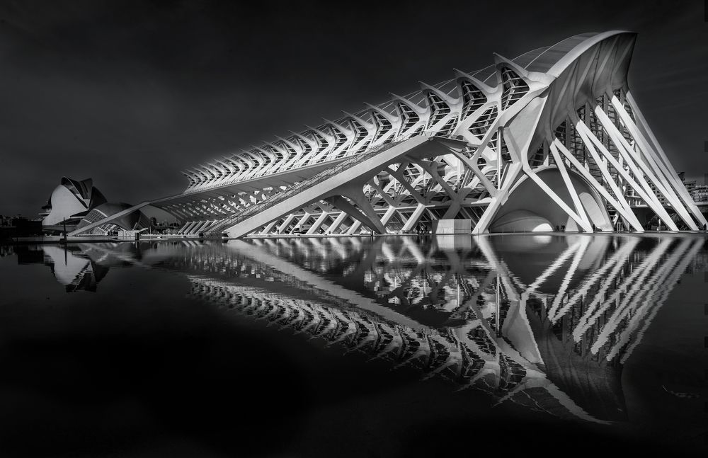 Photograph by Rana Jabeen