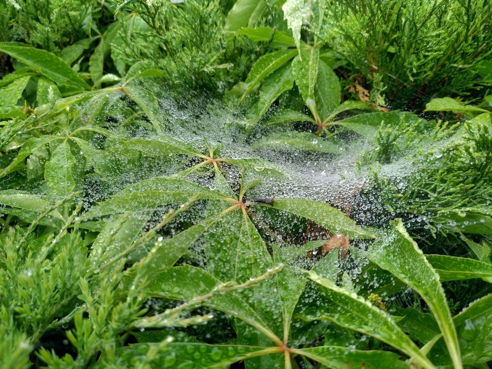 Photograph by Юрий Карач