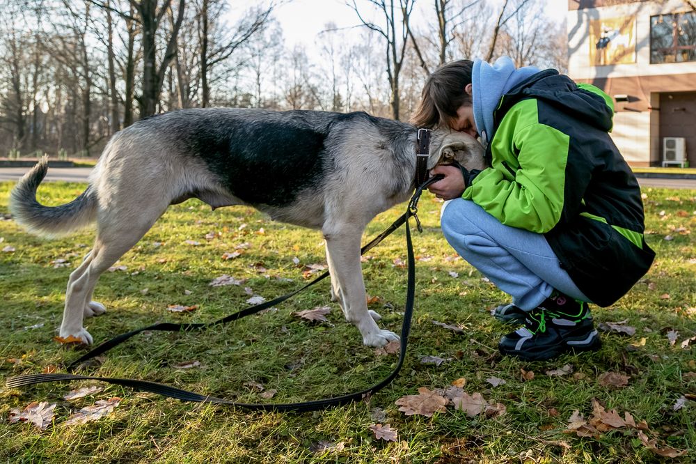Photograph by Оксана Пучкова