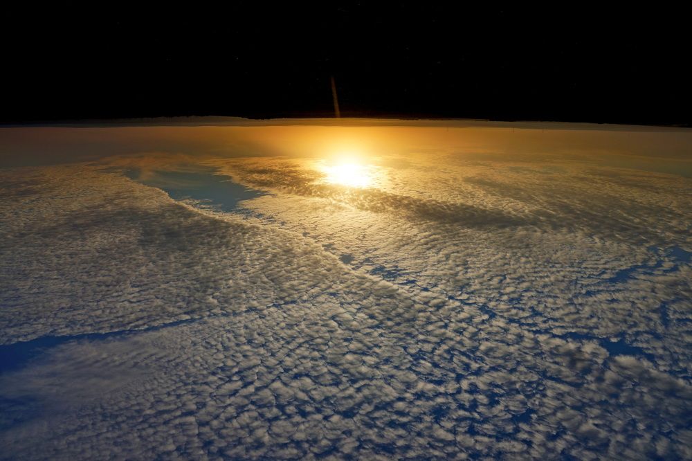 Фотография автора Дмитрий Градинар