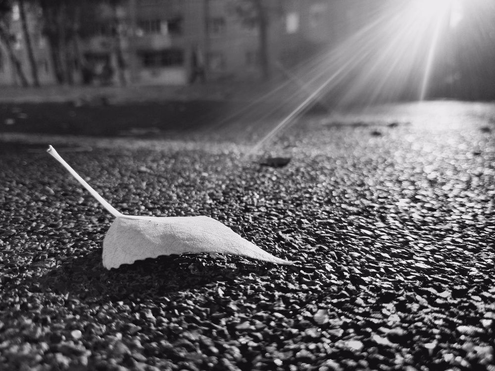 Photograph by Юрий Карач