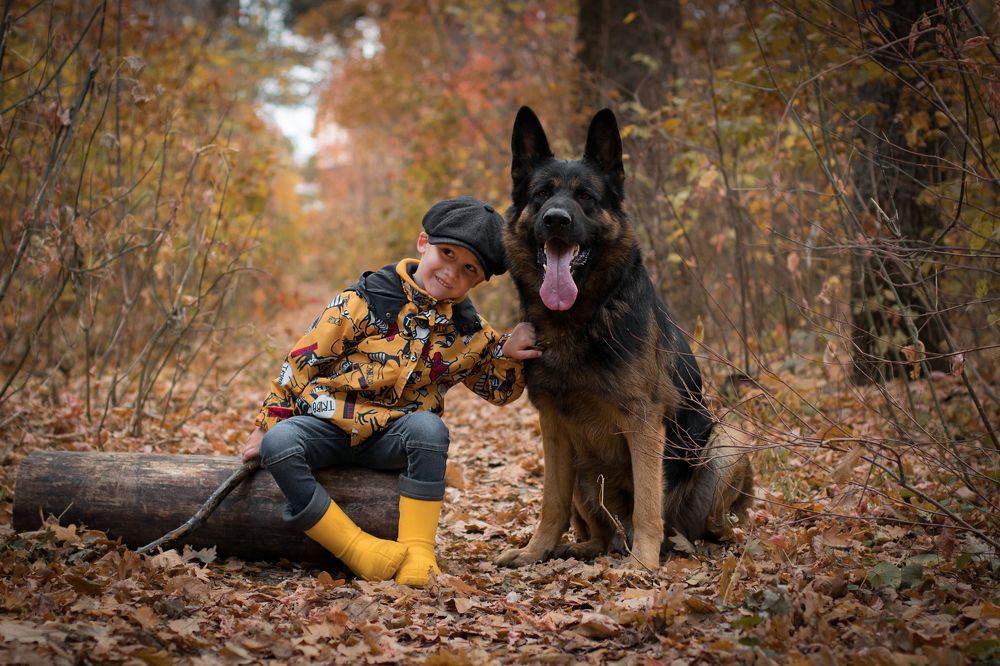 Photograph by Елена Сергина