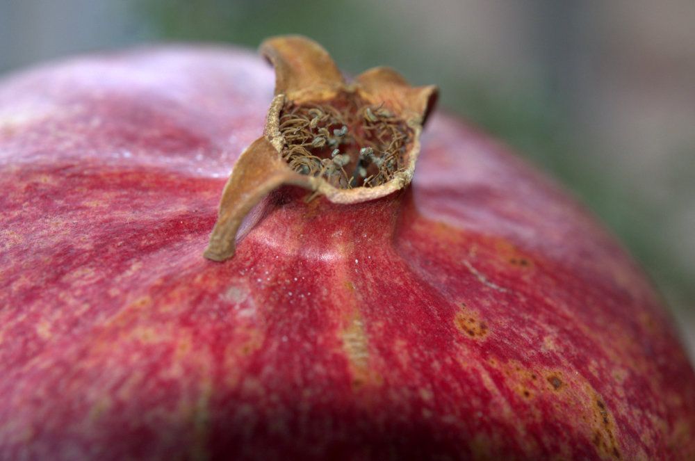 Photograph by Emil Zivanov