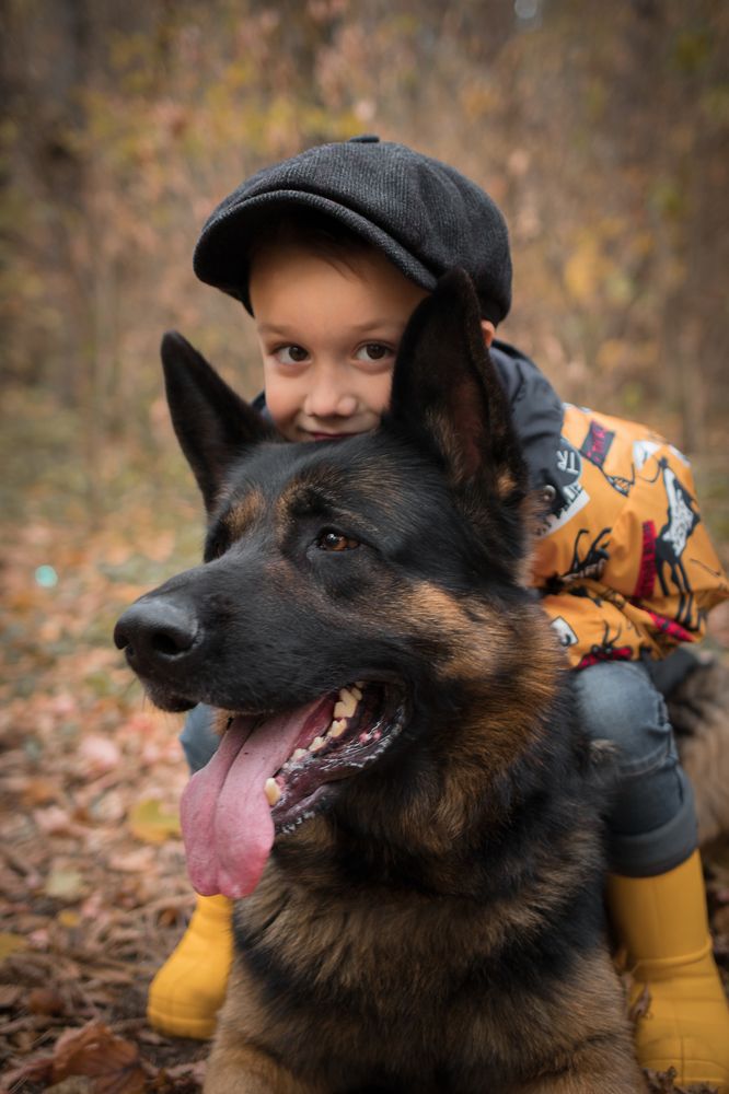 Photograph by Елена Сергина