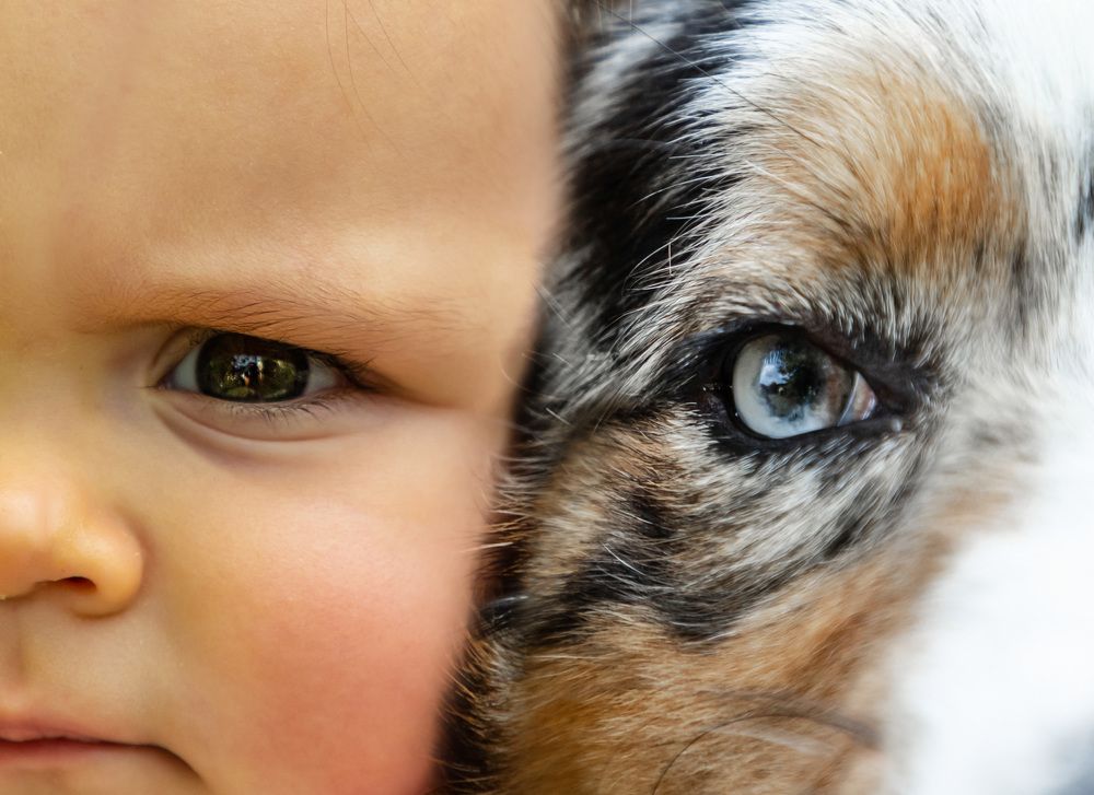 Photograph by Татьяна Кауфман