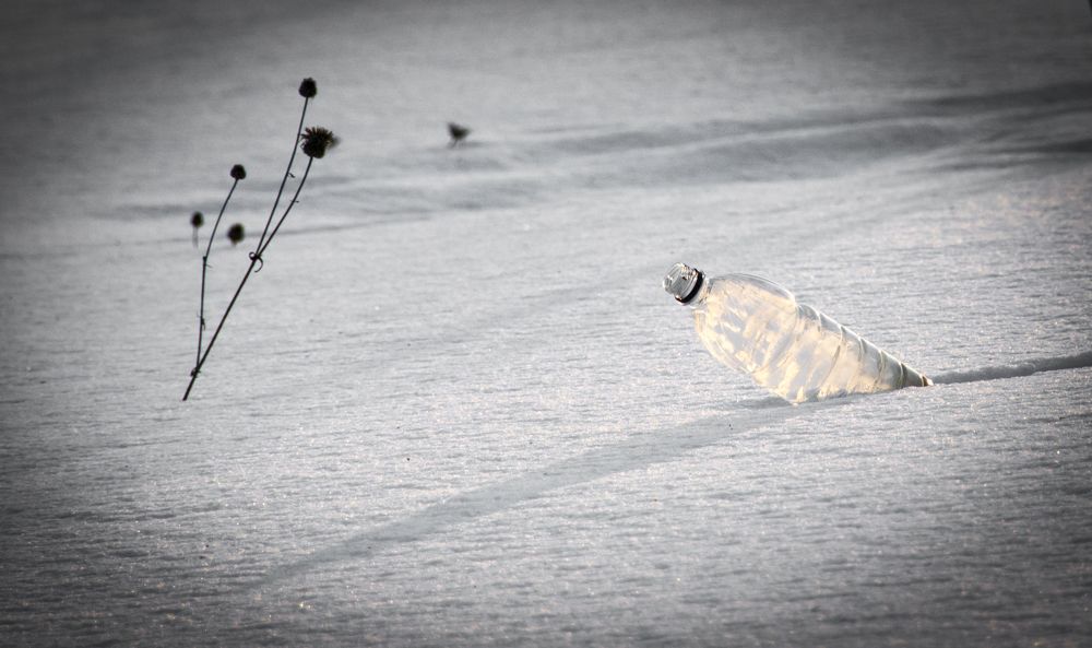 Photograph by Алёна Землянухина