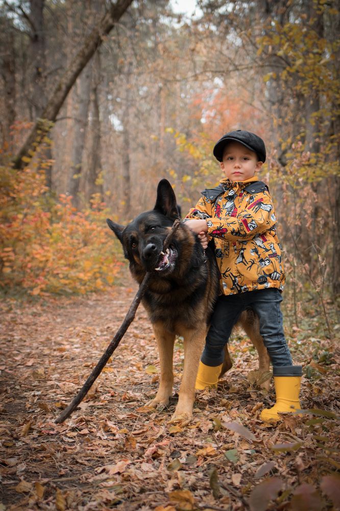 Photograph by Елена Сергина