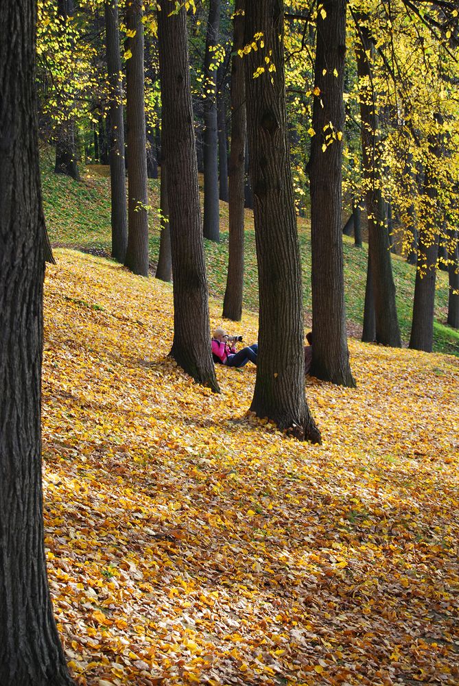 Photograph by Юрий Шурыгин