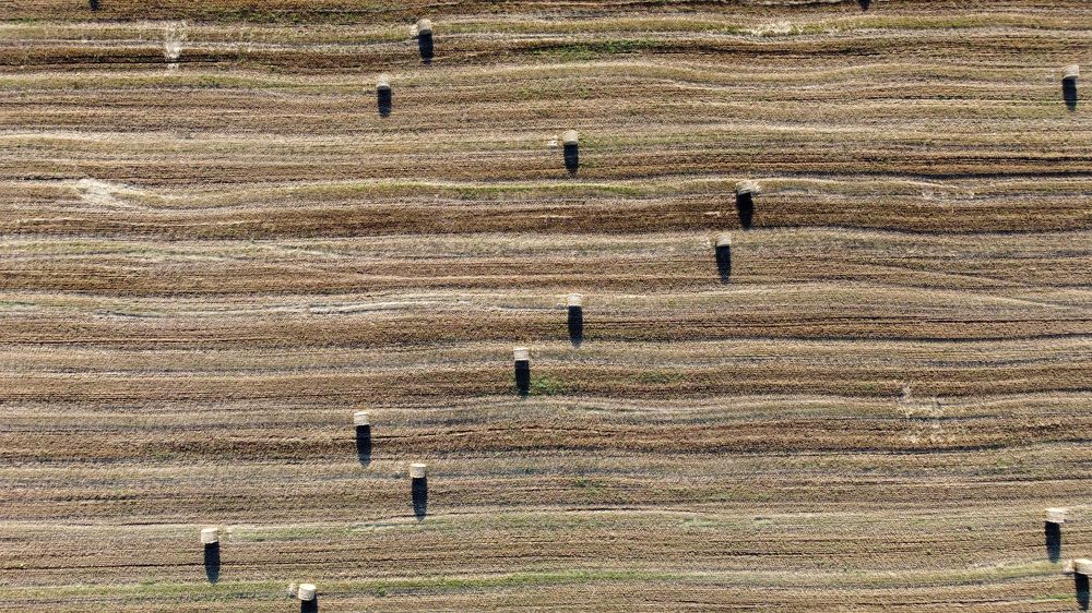 Photograph by Надежда Владимирова