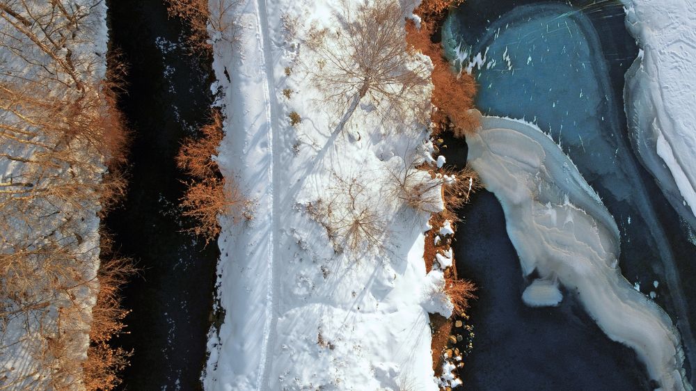 Тёмные воды