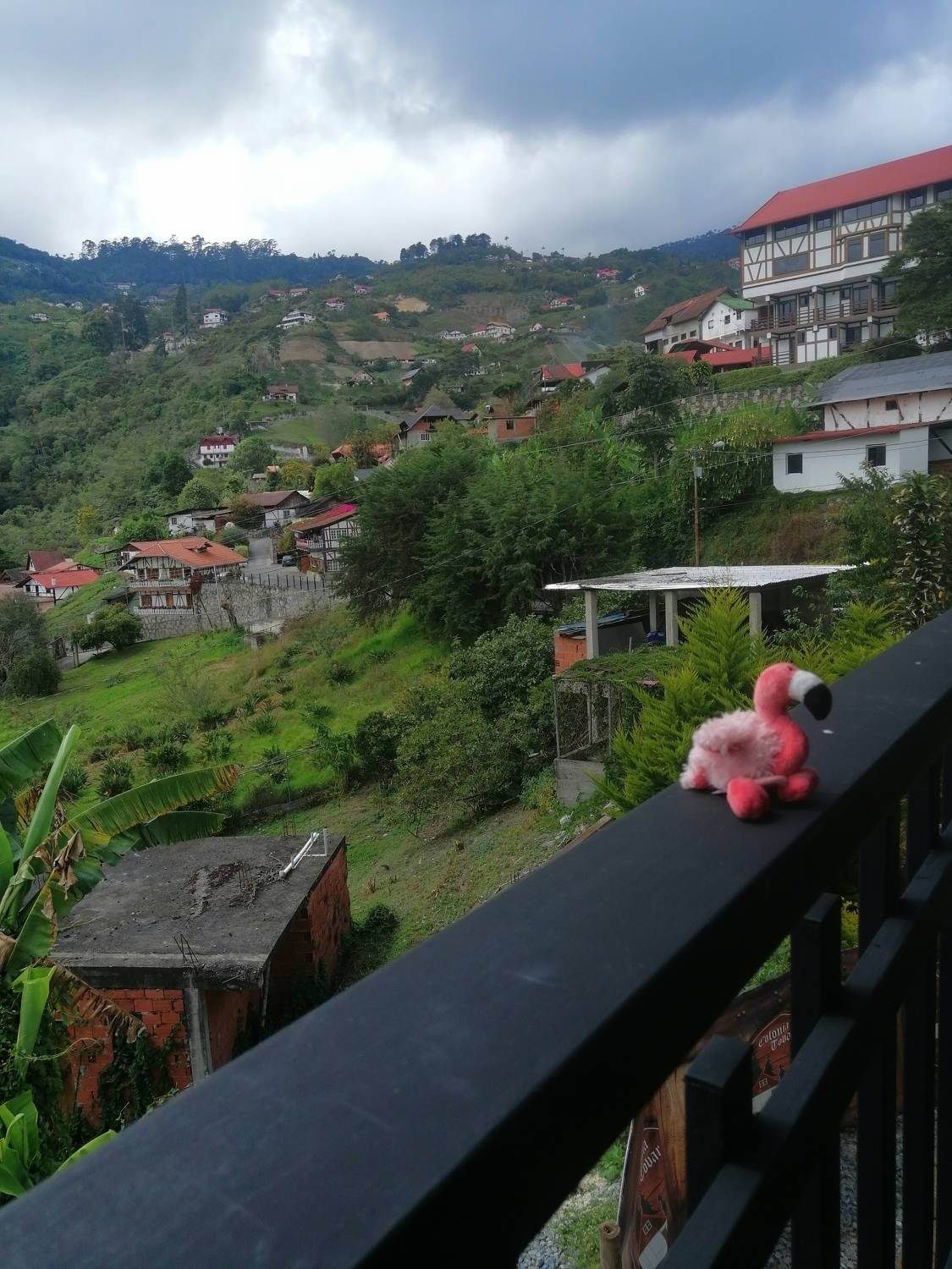 Photo #7328502