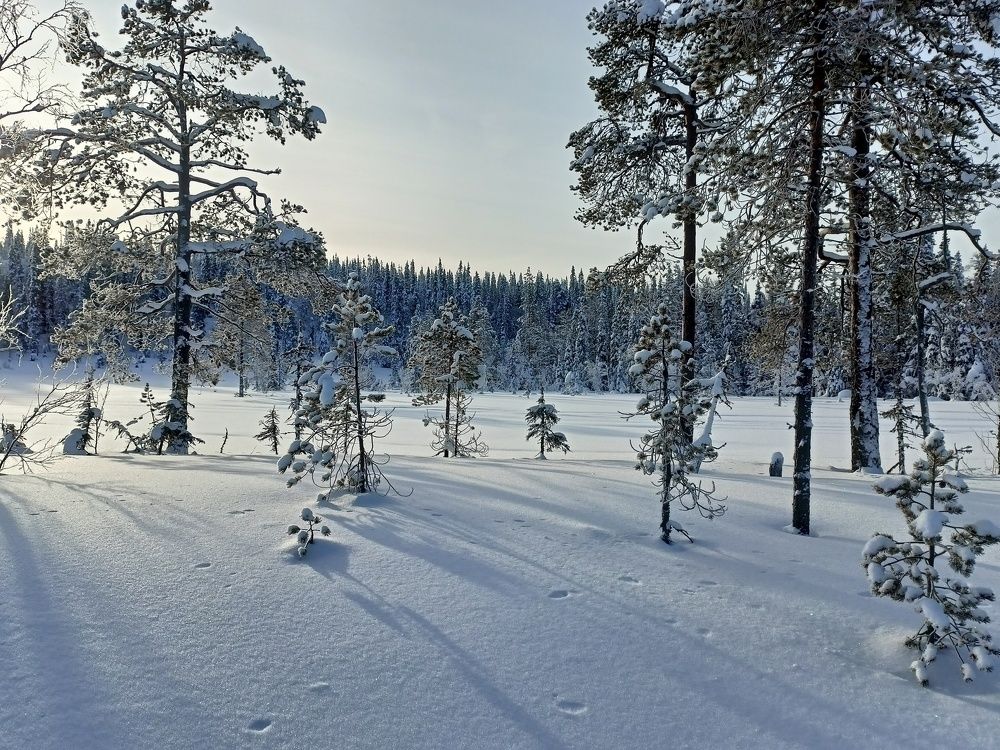 Photograph by Анастасия