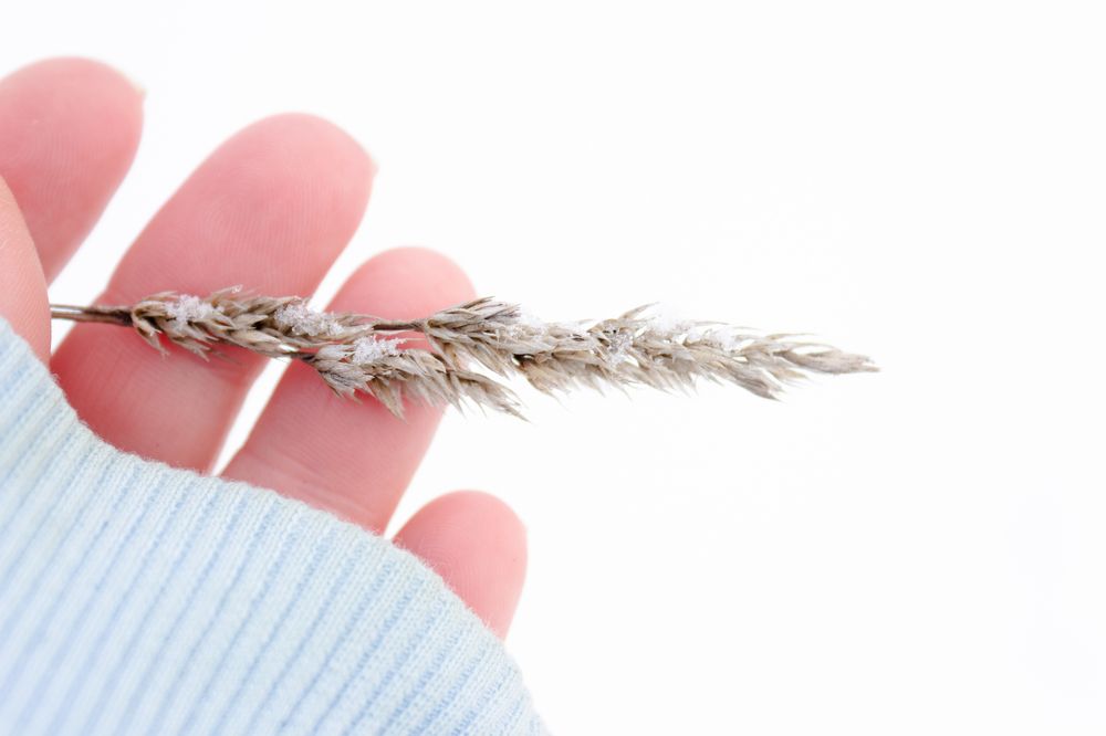 Photograph by Евгения Жданова