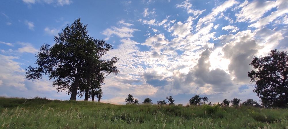Фотография автора Наталья Сероглазова