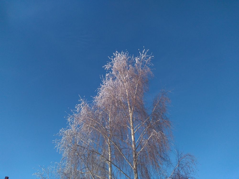 Photograph by СТЕПАН ДЖУЛАКИДЗЕ