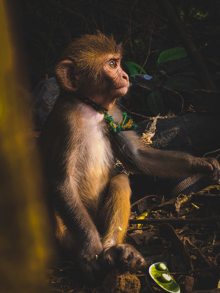 Photograph by Sai kiran teja