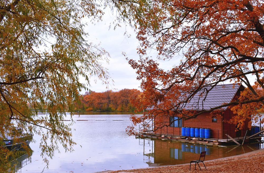 Photograph by Виталий Асташов