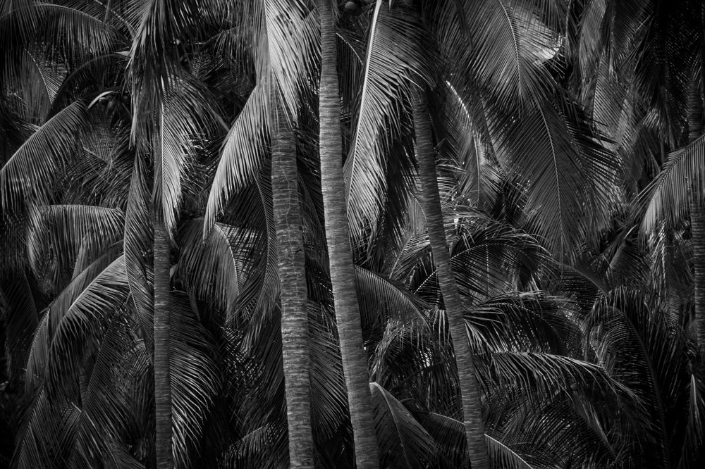 Photograph by Carlos Macias