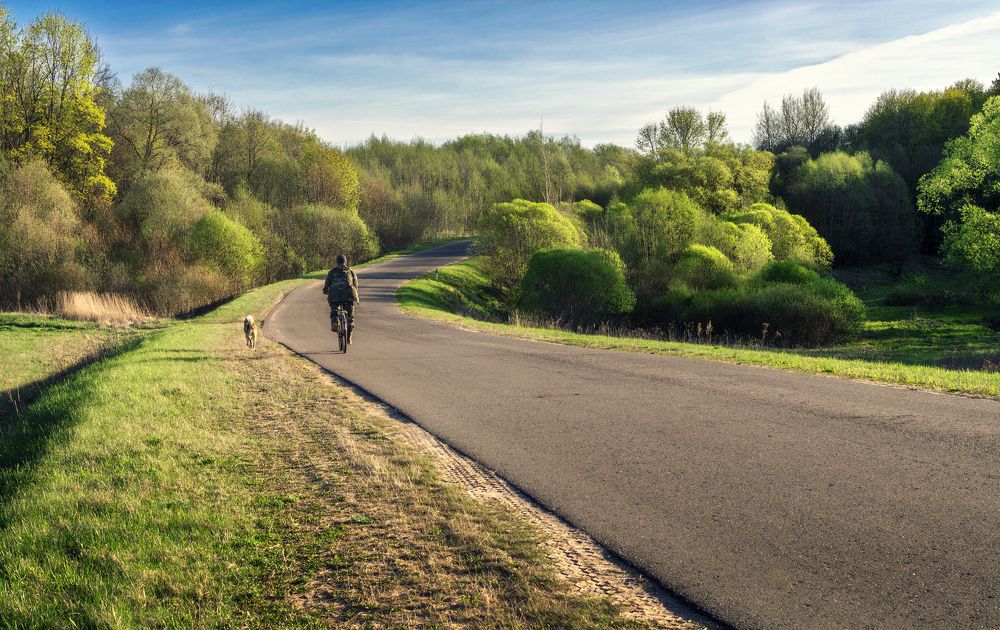 Фотография автора Ольга Бородина