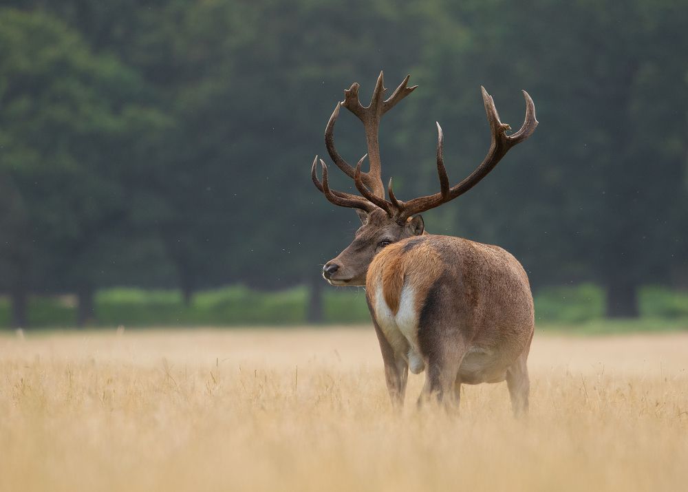 Фотография автора MARIA KULA