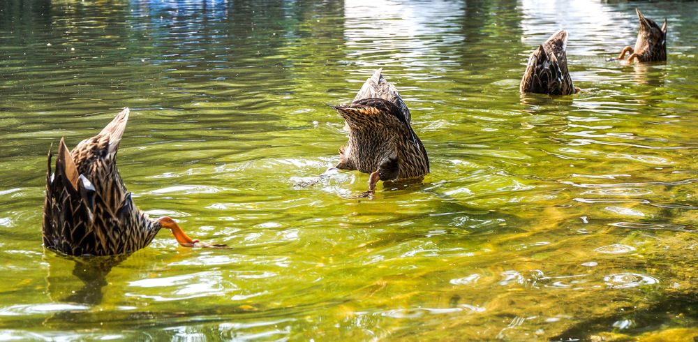 Photograph by Ави Христова