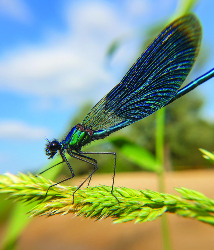 Photograph by Aksana Shvydkova