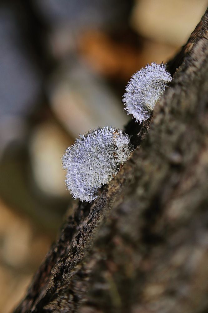 Photograph by Дарья Григорьева