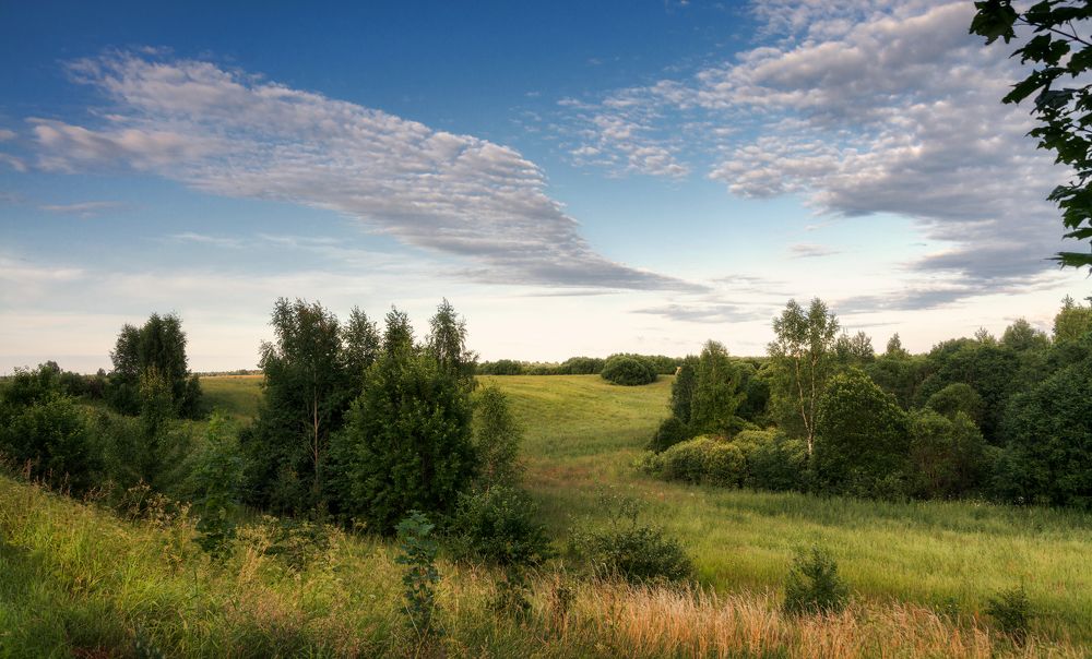 Фотография автора Ольга Бородина