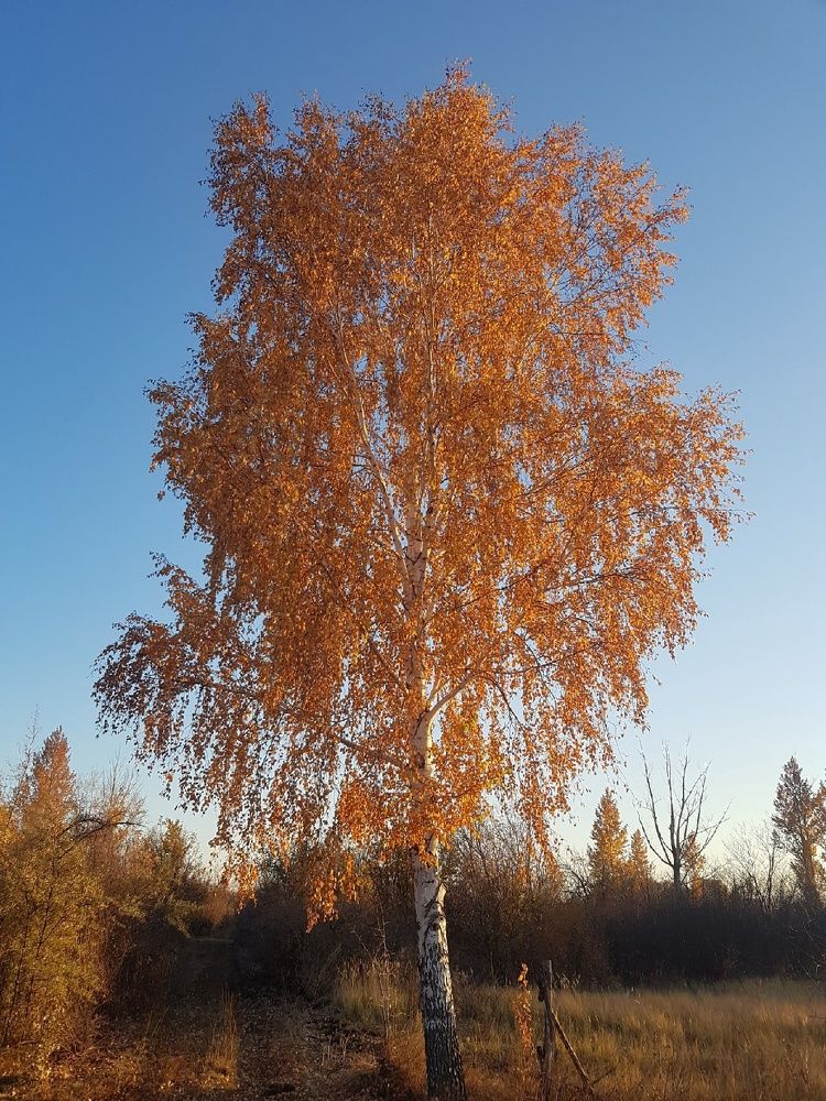 Photograph by Иван Полянский