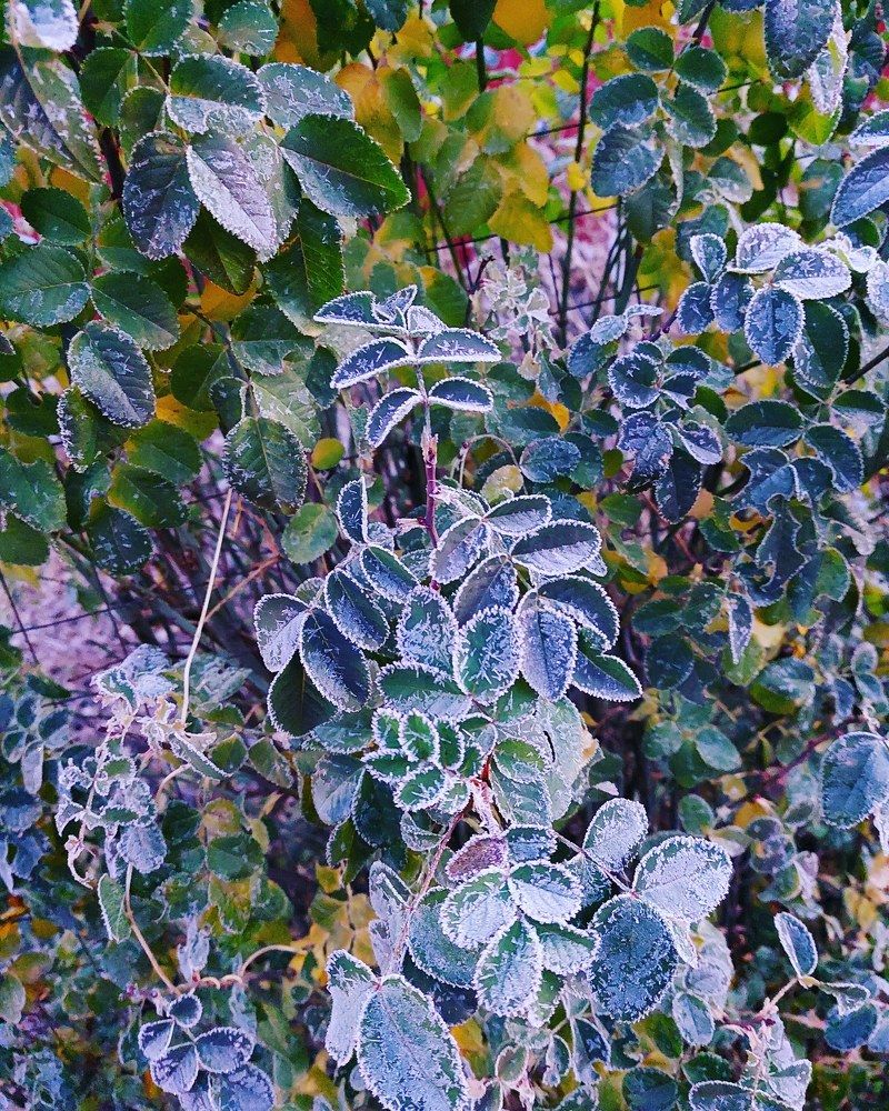 Photograph by Нина Паршина