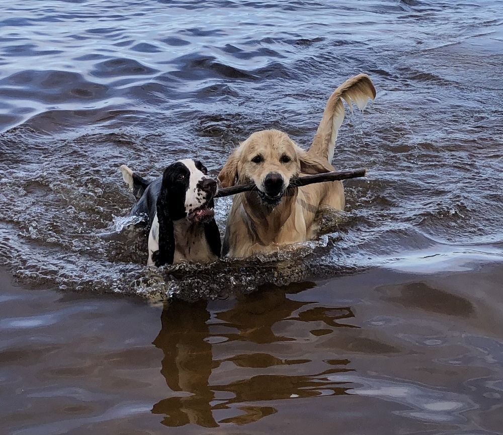 Photograph by Мария Бессмертная