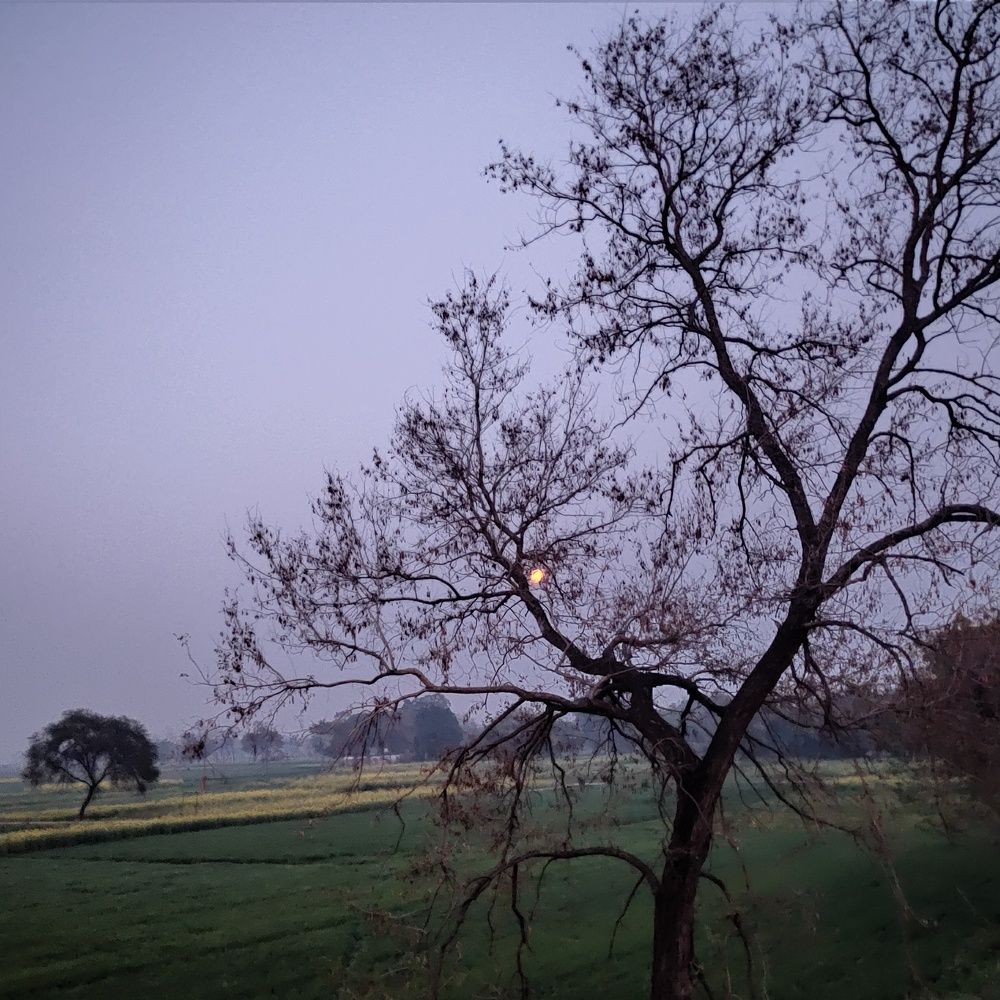 Photograph by Kumari Shikha