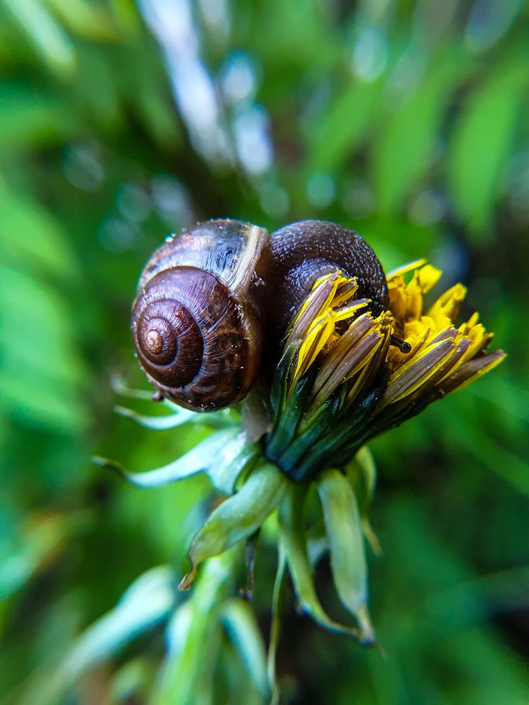 Photograph by Aksana Shvydkova