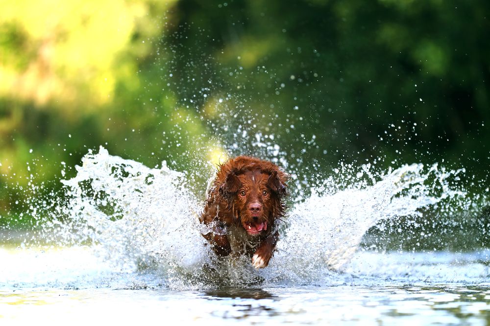 Photograph by Дмитрий Бородин