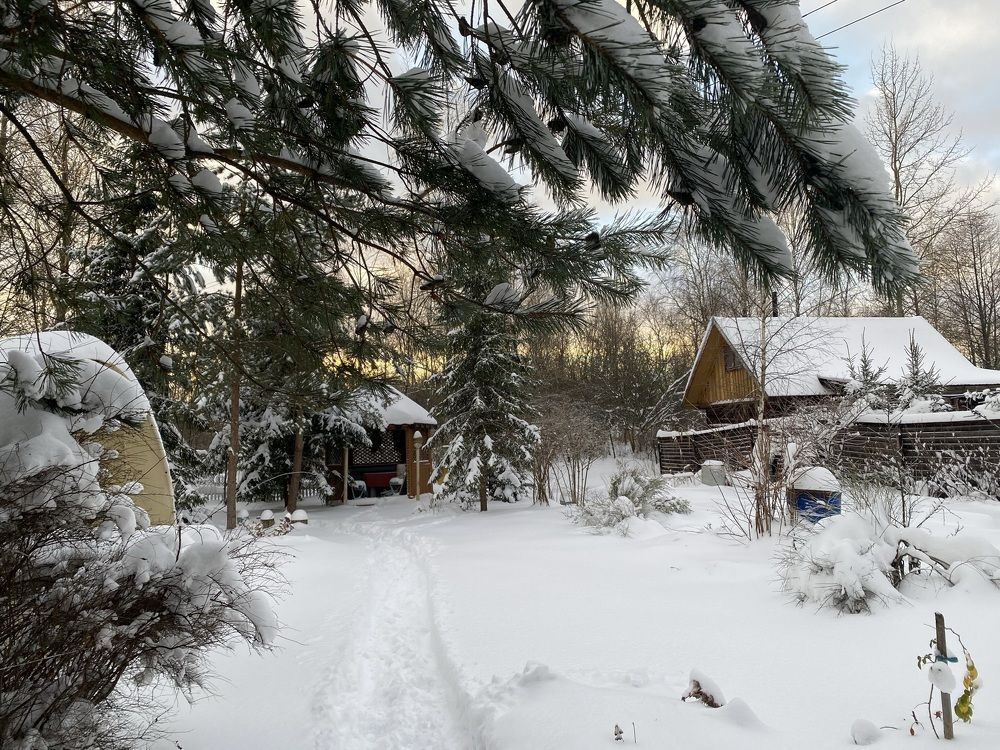 Photograph by Наталья