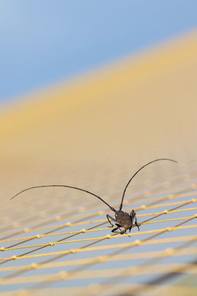 Photograph by Алан Гасымов