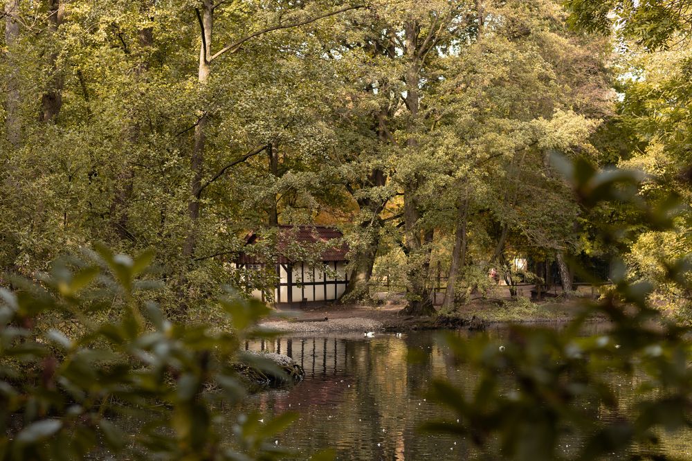 Photograph by Яна Фриц