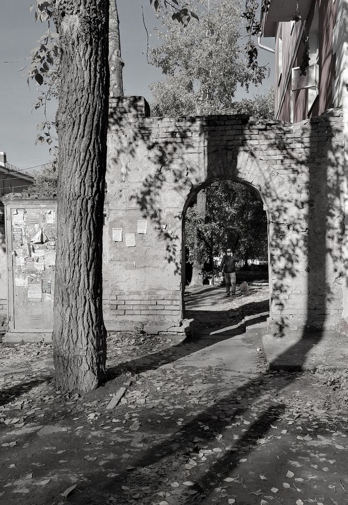 Photograph by Елена Швецова