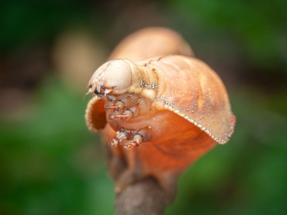 Photograph by Alstein Lai