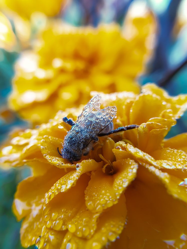 Photograph by Aksana Shvydkova