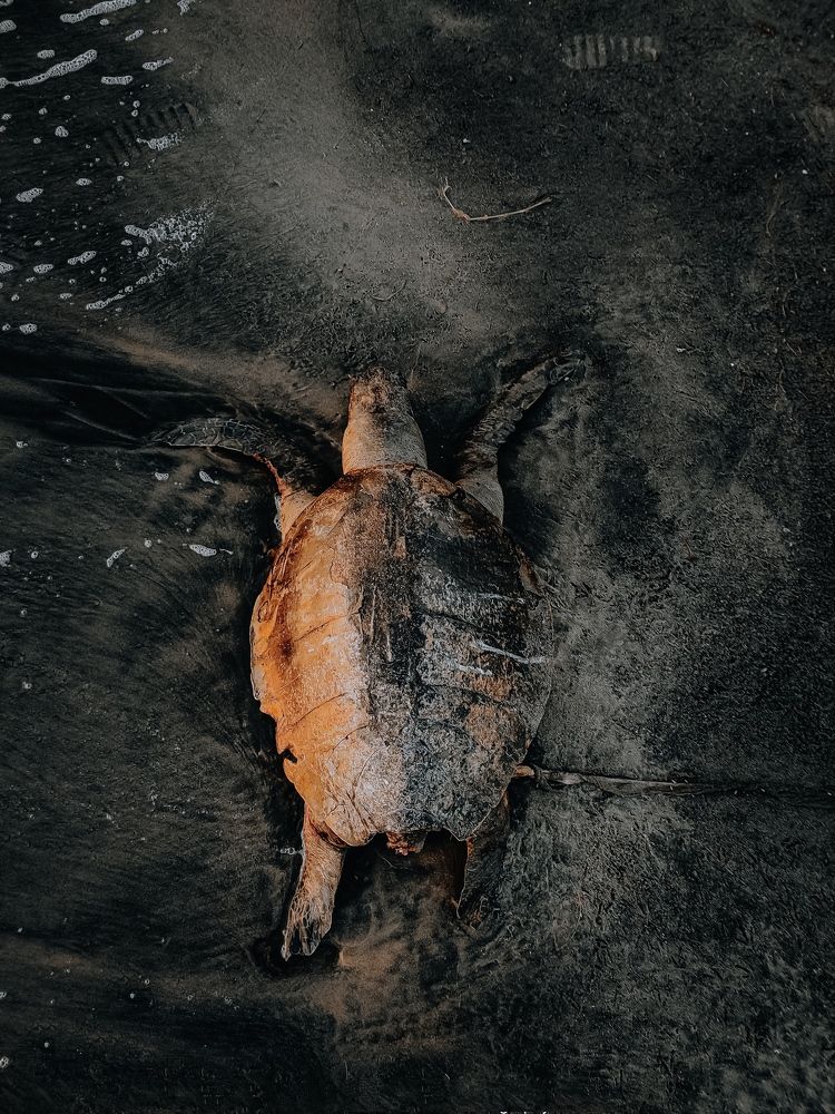 Photograph by Aslam bin musthafa