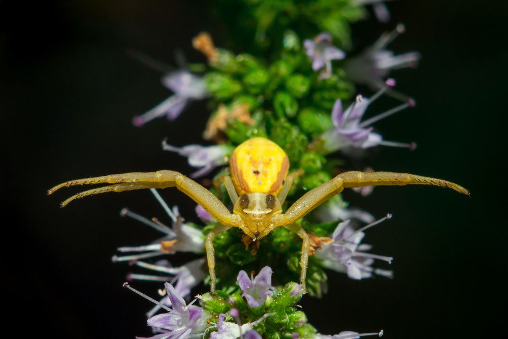 Photograph by Matko Matkovic