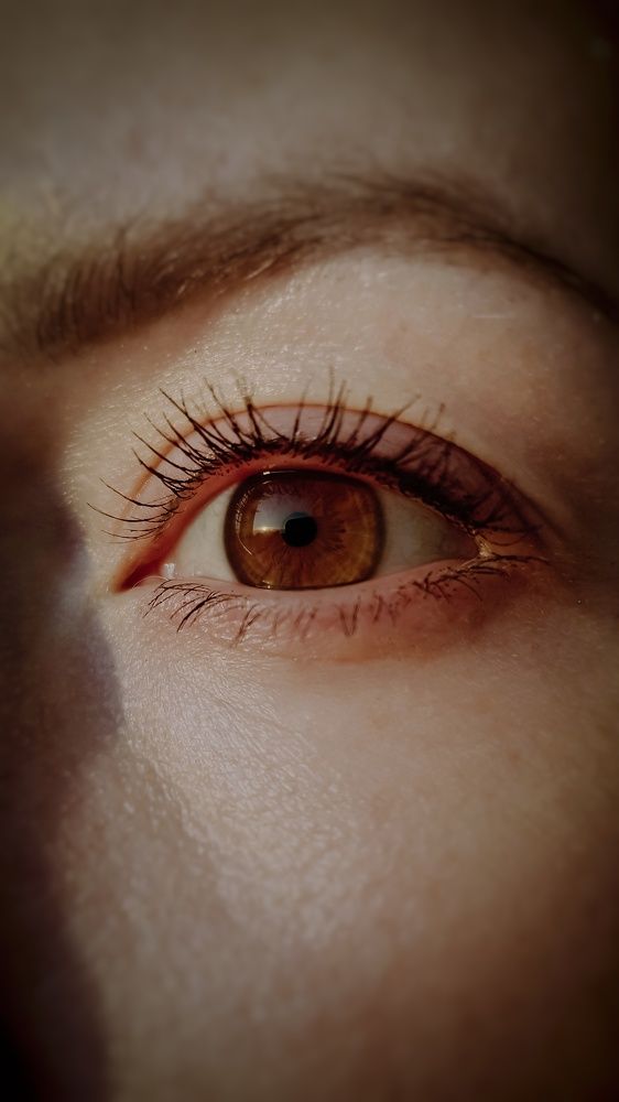 Photo #7329071
