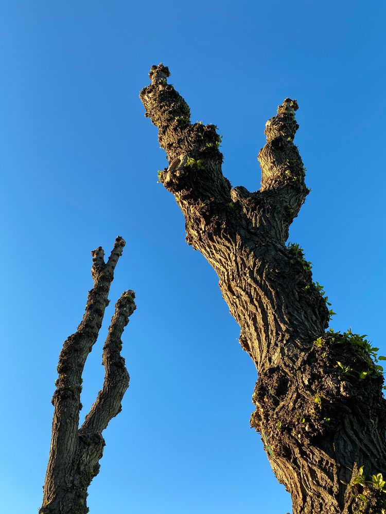 Photograph by Алан Гасымов